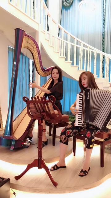 周婷 竖琴 - 抖音上有没有见过竖琴和手风琴合奏呀?