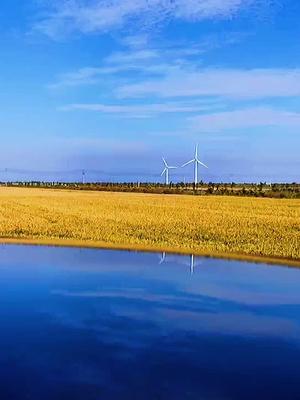 大美慈溪，丰收的季节