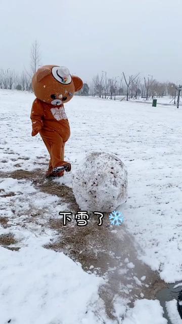 小熊 #日常 #搞笑 这个雪球太大了,小胖熊都踢不动了,哈哈@抖音小